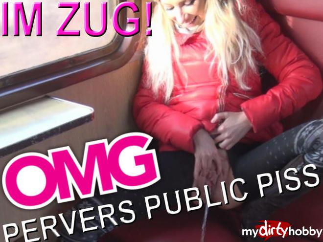 PERVERS PUBLIC PISS THE TRAIN PERVERS PUBLIC PISS THE TRAIN